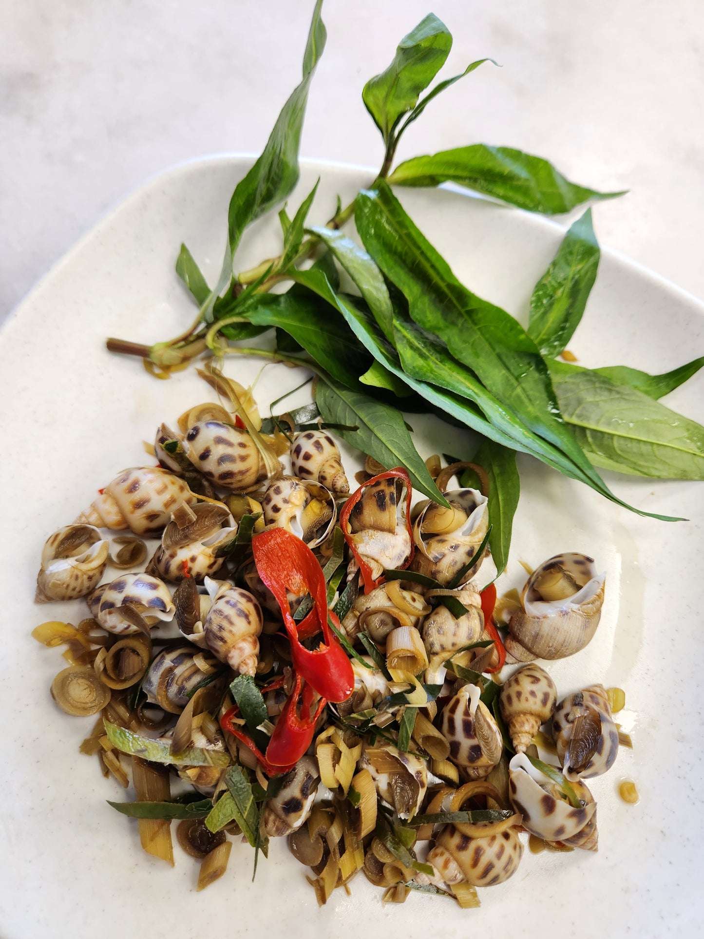 Ốc Hương Nha Trang Hấp Xã