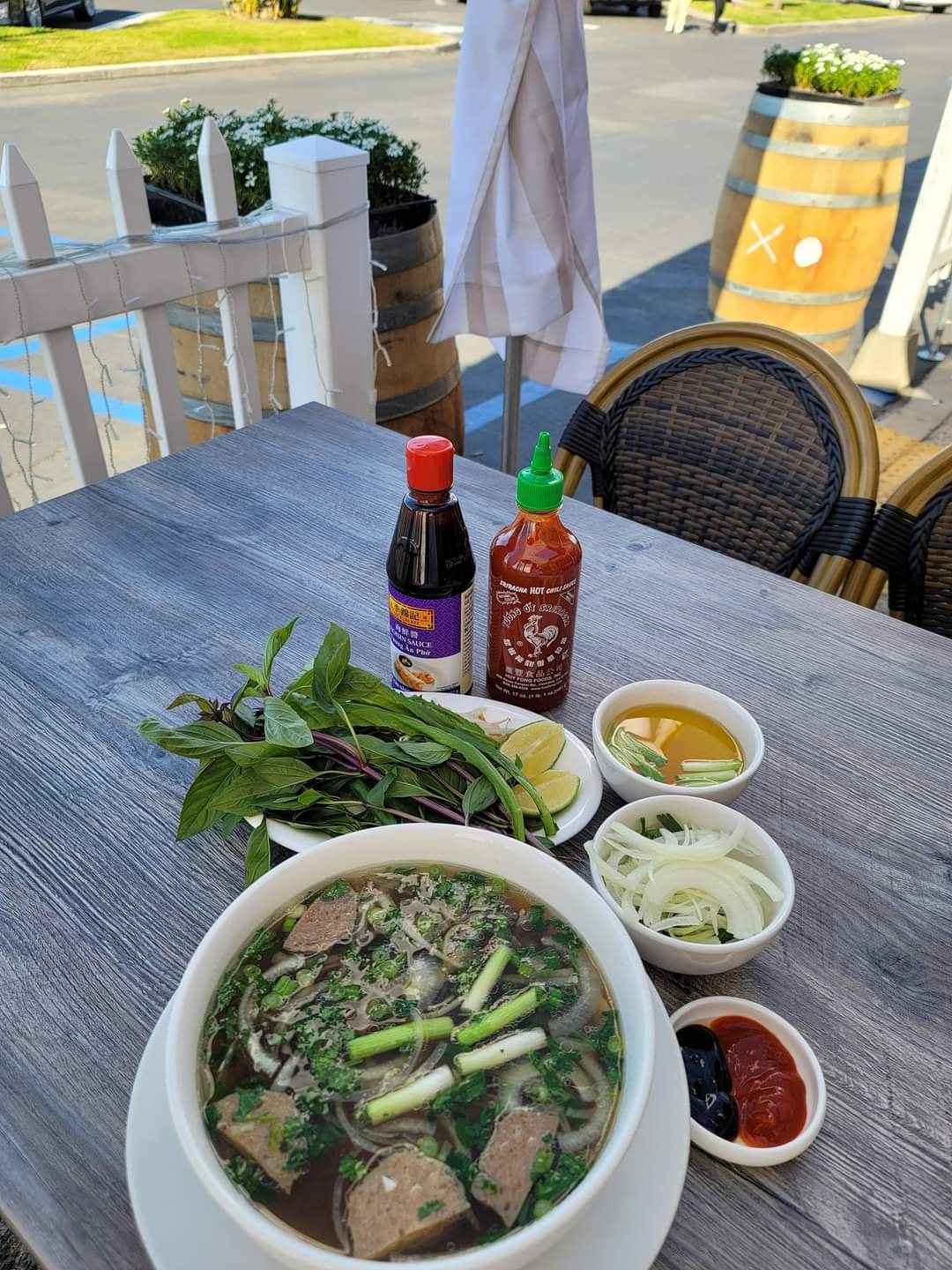Pho Hoang Gia Rare Steak + Meat Balls