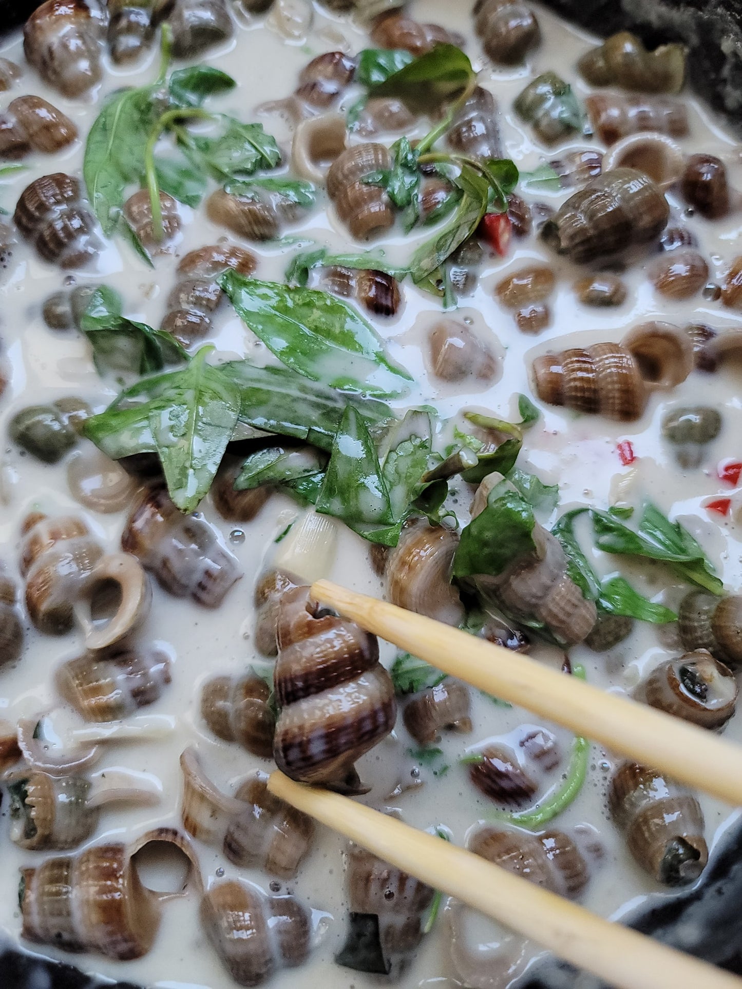 Oc Len Xào Dua
