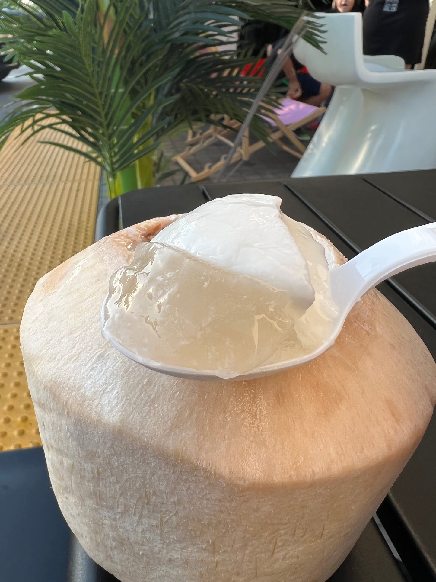 Vietnamese Coconut Jelly - Thạch Dừa