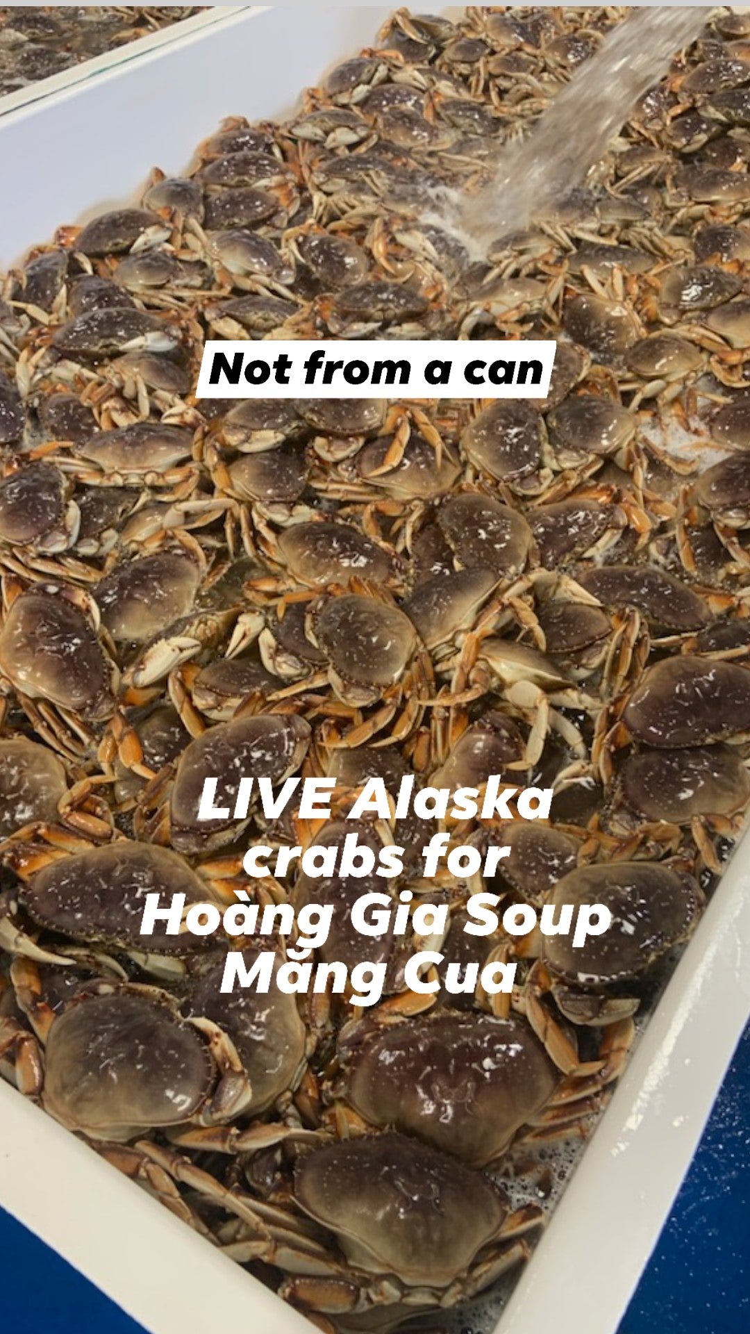 Soup măng cua from LIVE USA Crab - Vietnamese Crab and Asparagus Soup