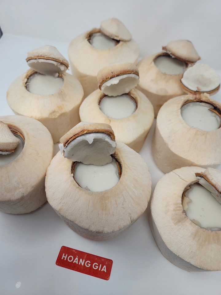 Vietnamese Coconut Jelly - Thạch Dừa